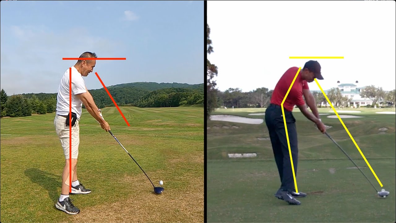 ハンディ１４とタイガーウッズのドライバー比較（14 handicap vs Tiger Woods Swing Analysis）