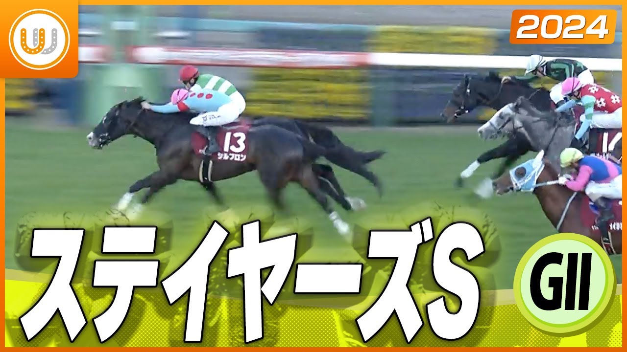 【レース映像】中山11RステイヤーズS（GⅡ）｜シュヴァリエローズ(牡6、北村友一)｜ウイニング競馬