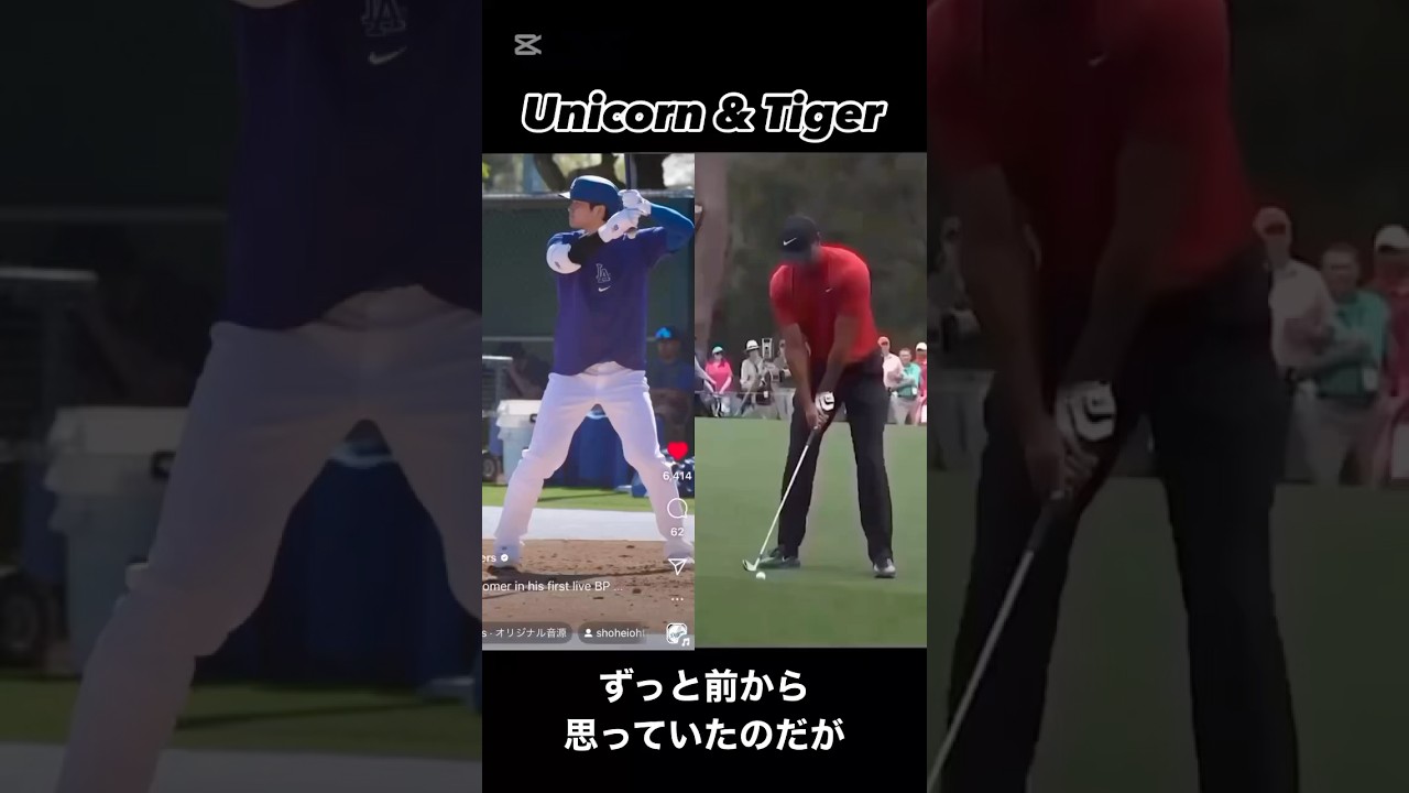スイング似てね？ #shoheiohtani 様 #大谷翔平 様 #タイガーウッズ