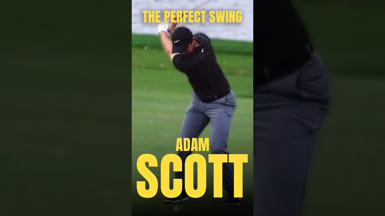 Adam Scott: Perfect Golf Swing 101 #perfectgolfswing #pga #golf #tigerwoods