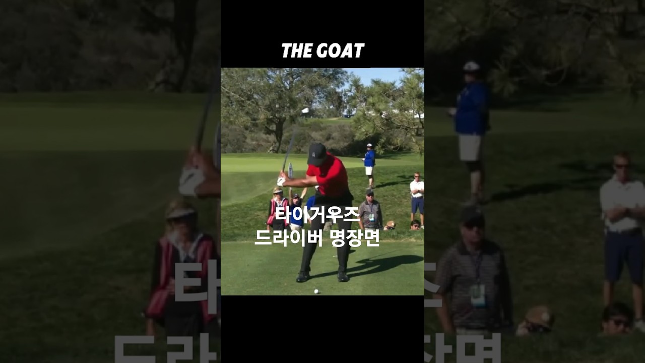 PGA의 영원한 황제. 현대스윙의 교과서. 타이거 THE GOAT 아이언 정면슬로우모션, #golf #golfswing #드라이버스윙