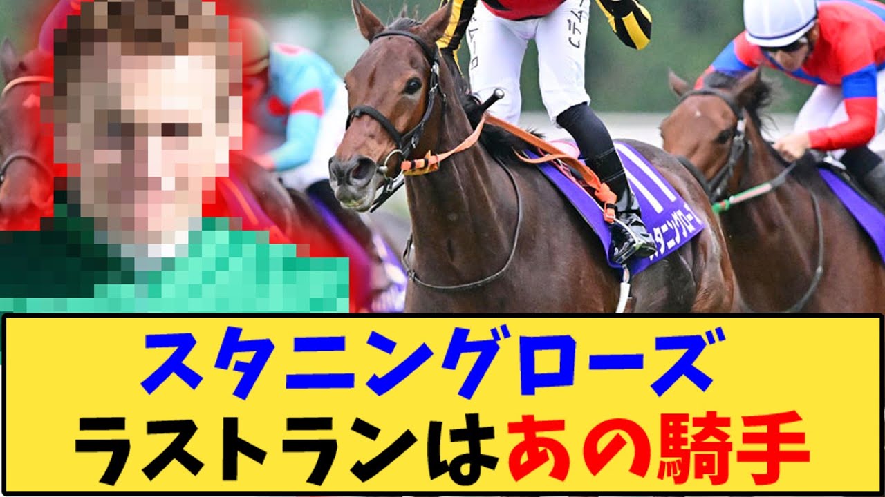 【競馬】「スタニングローズ ラストランはあの騎手と」に対する反応【反応集】