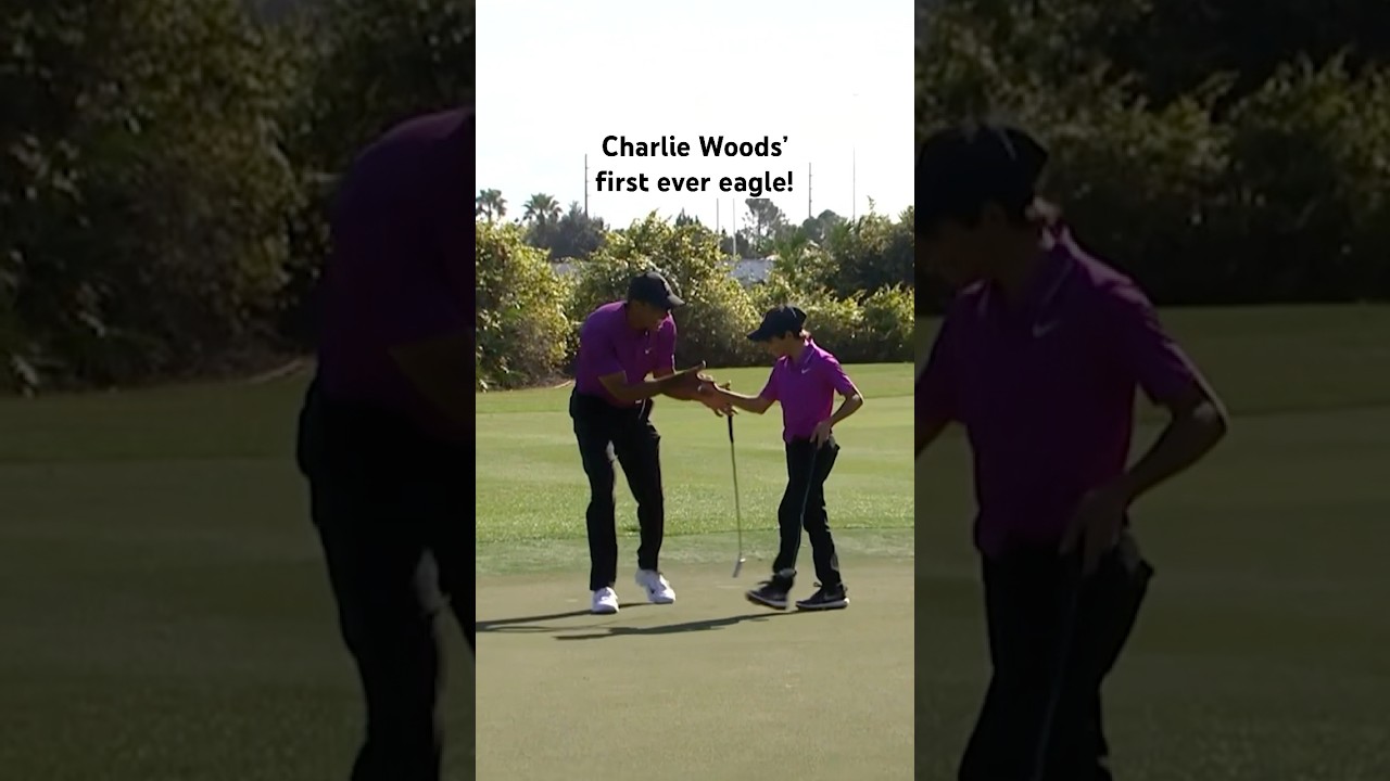 Tiger and Charlie are ELECTRIC 🔥