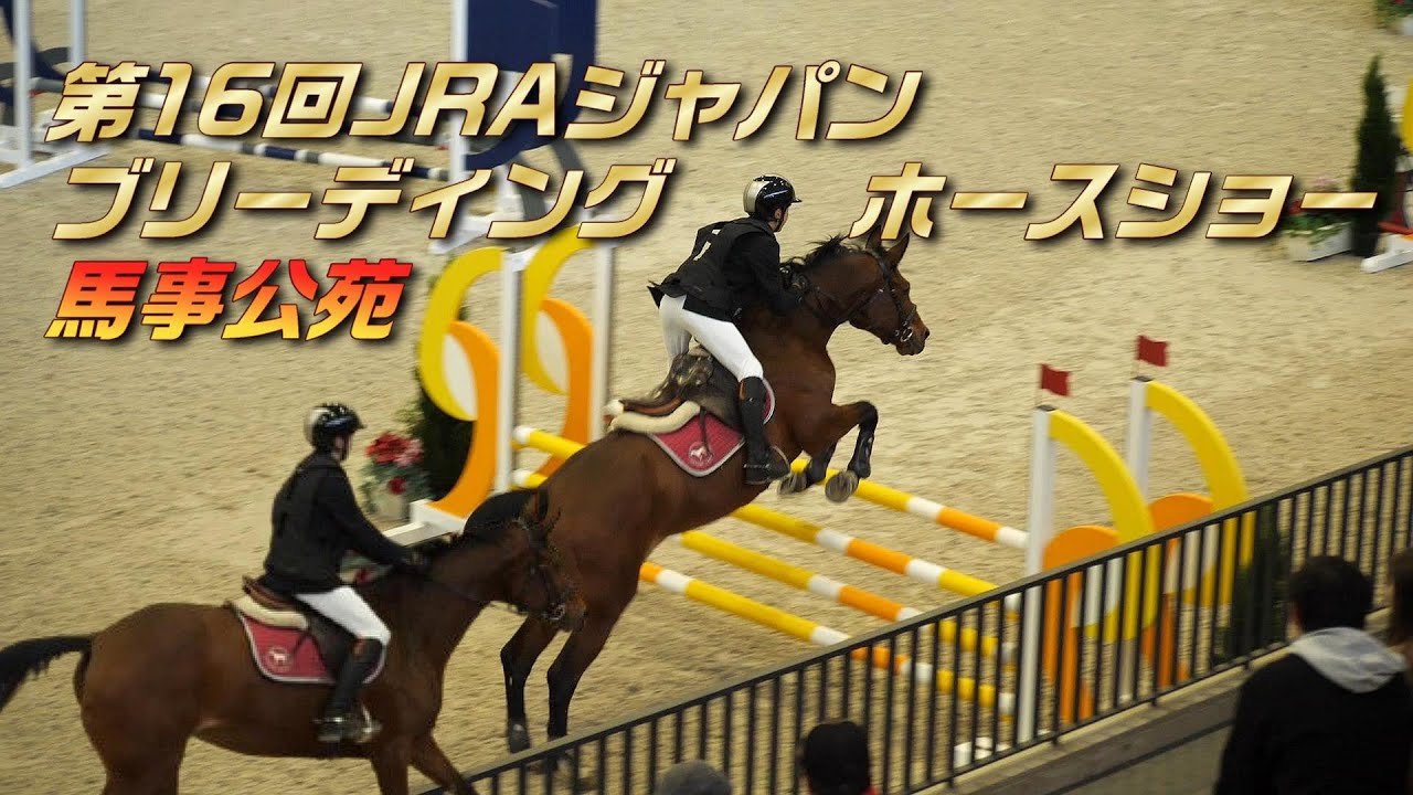 応援！第16回JRAジャパンブリーディングホースショー 第7競技95cm 障害飛越競技 馬事公苑 2024/12/07