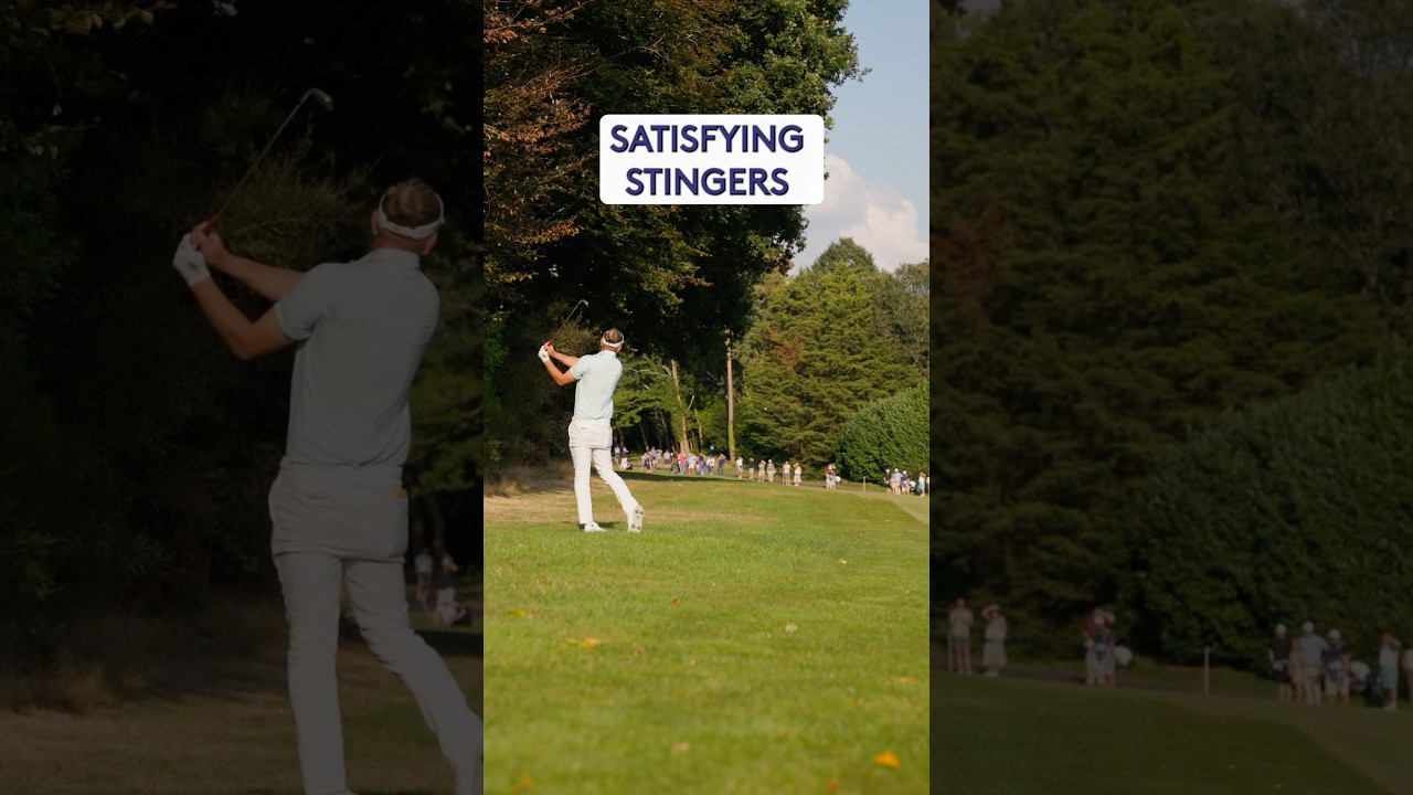 Rate these UNBELIEVABLE stingers 🔥