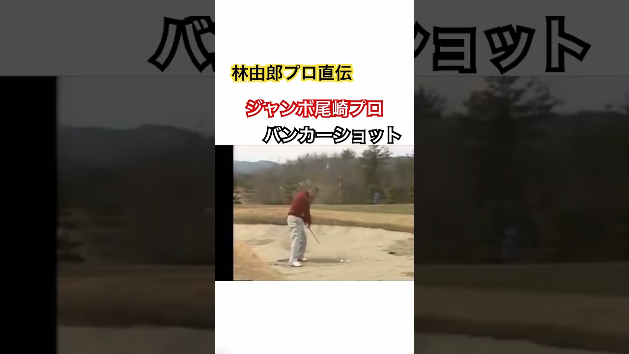 林由郎プロ直伝‼️ジャンボ尾崎プロのバンカーショット✨ #golf #ゴルフ #ジャンボ尾崎 #林由郎 #バンカー