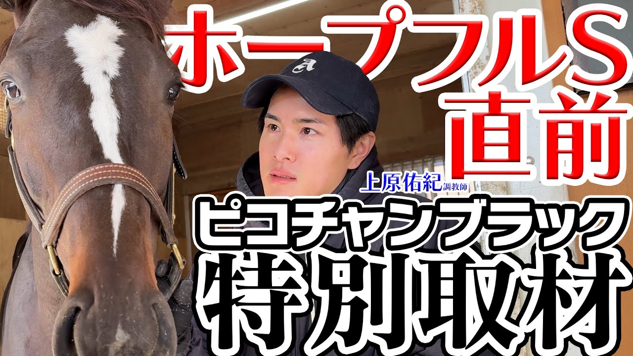 【配信限定】ホープフルS 特別取材！ピコチャンブラック 上原佑紀調教師に直撃！｜ウイニングTube