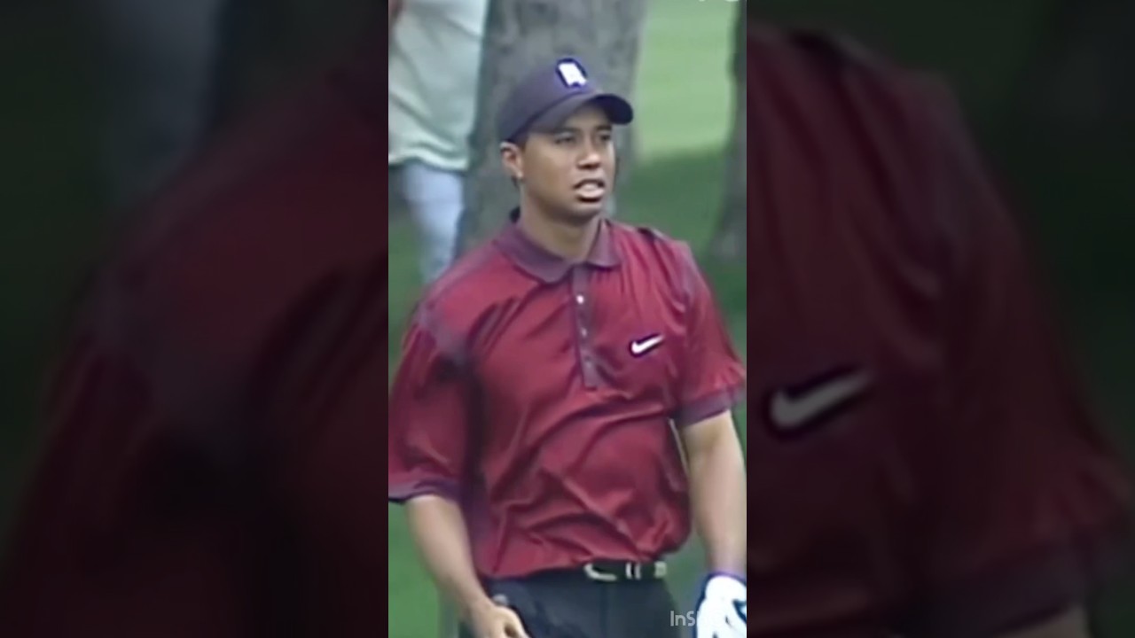 Tiger Woods at his best 🔥🔥🔥