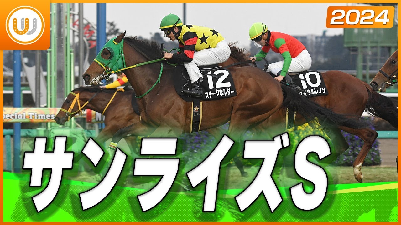 【レース映像】11Rサンライズステークス ｜ステークホルダー（戸崎圭太）｜ウイニング競馬