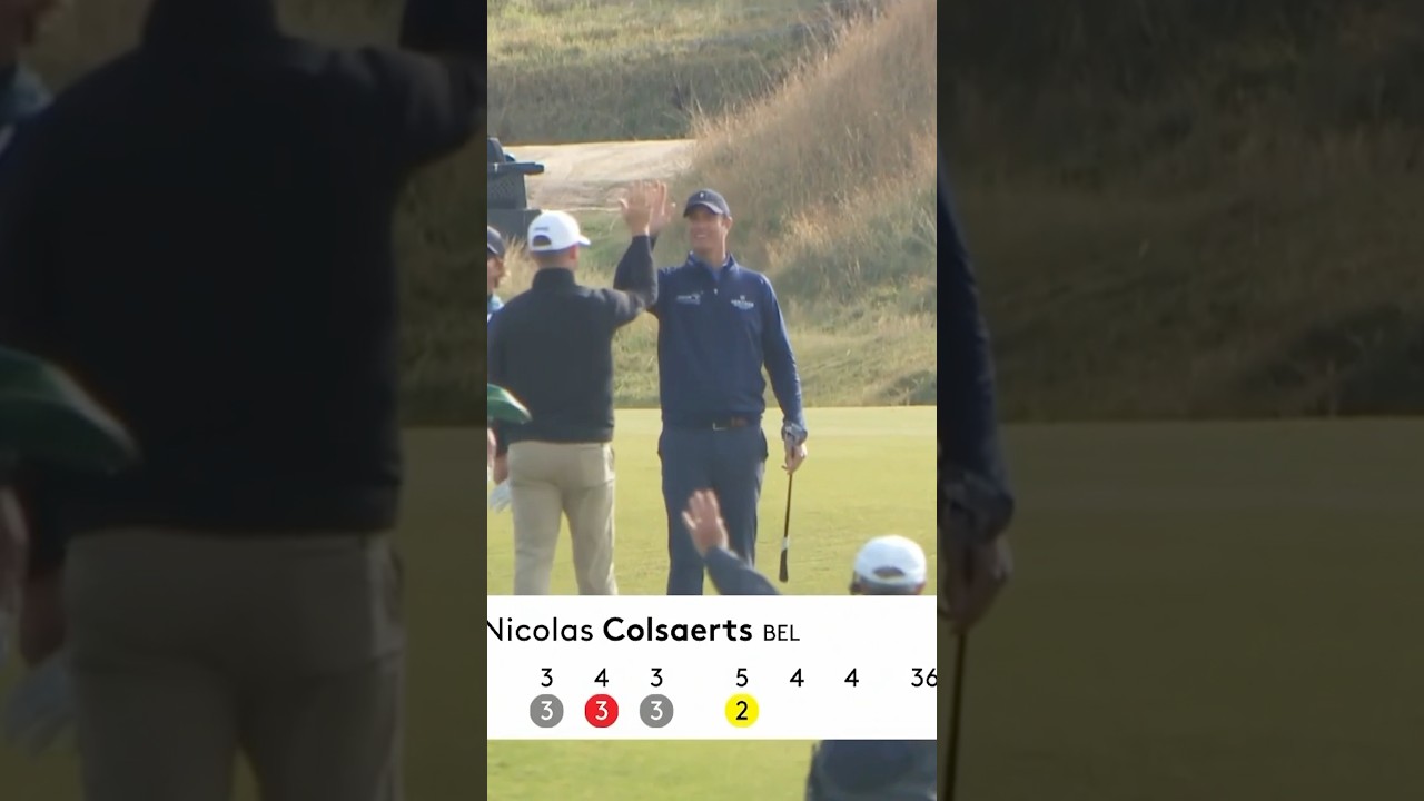 Extremely satisfying ALBATROSS 😍