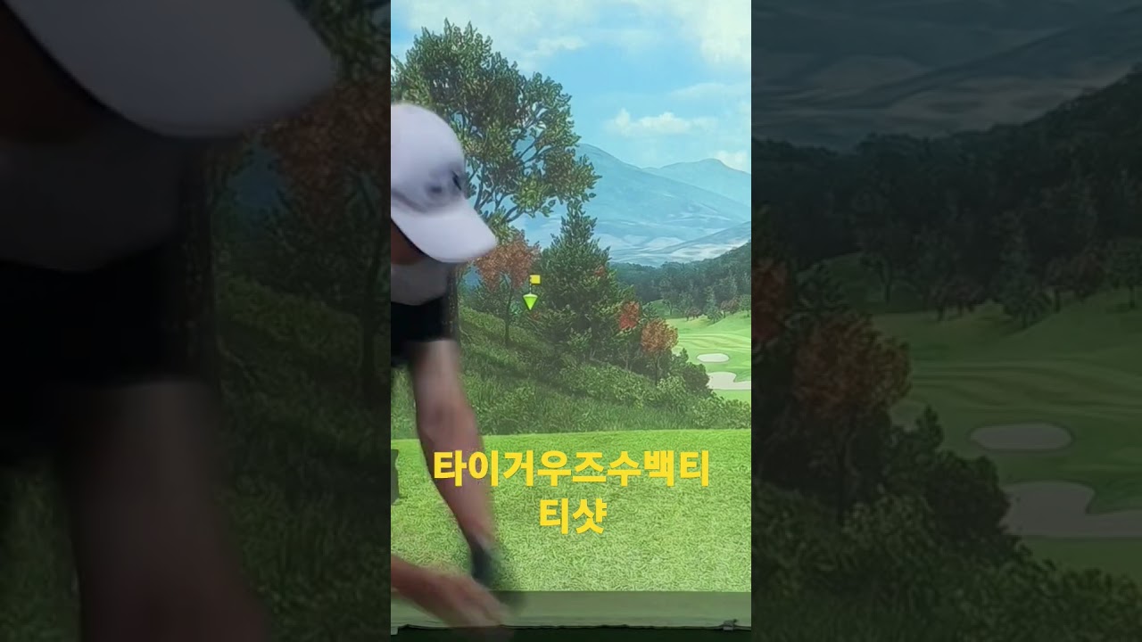 타이거우즈수골프유트브24.8.8