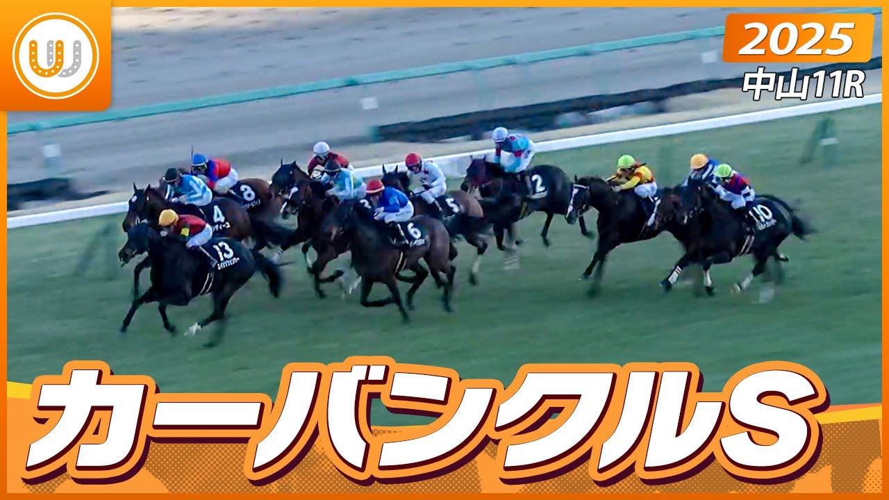 【レース映像】中山11R カーバンクルS｜エイシンフェンサー（川又賢治）｜ウイニング競馬