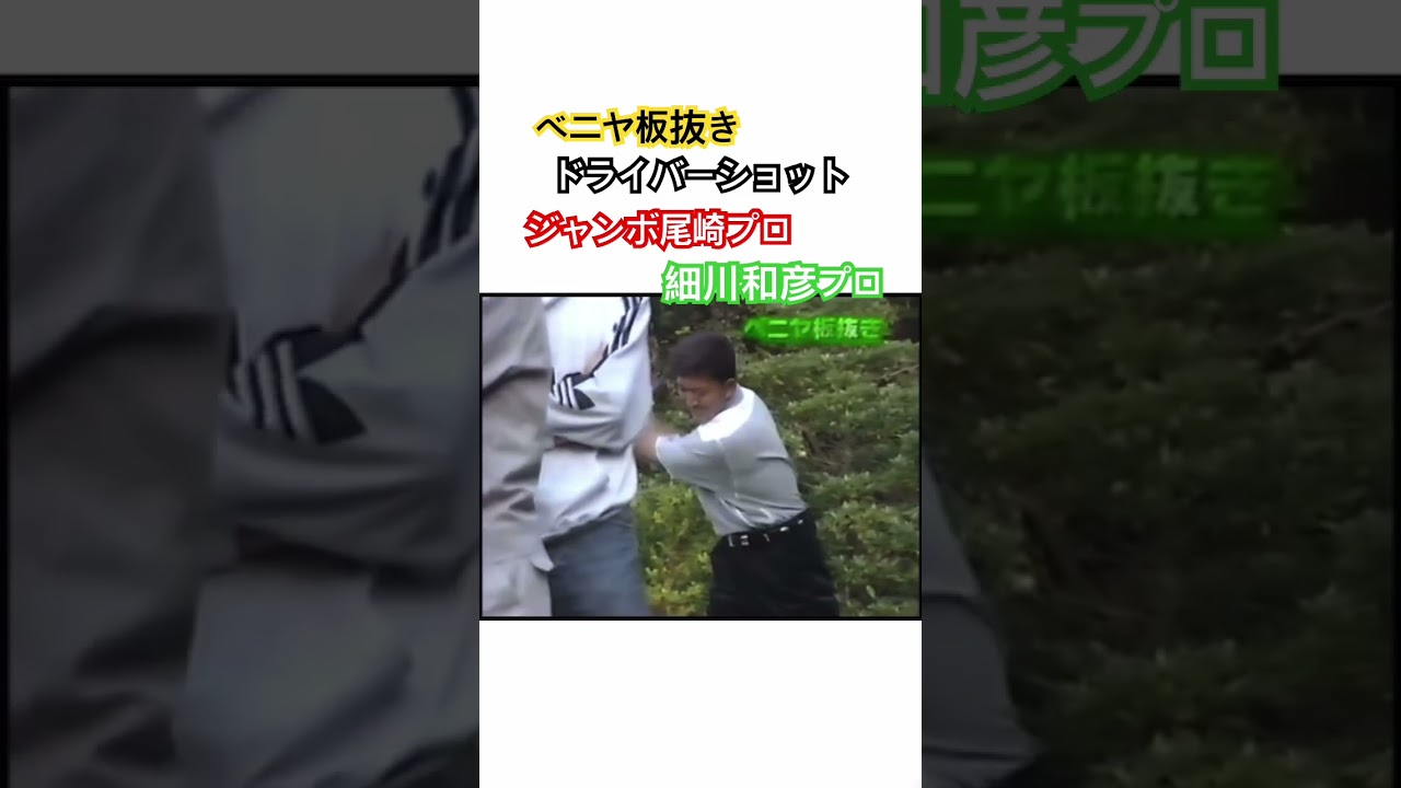 ベニヤ板抜きドライバーショット🔥ジャンボ尾崎プロ💪 細川和彦プロ✨ #ゴルフ #golf #ドライバー #ジャンボ尾崎 #細川和彦