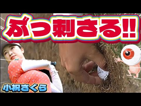 【小祝さくら】バンカーショットが壁面に直撃、ぶっ刺さる‼️😱【女子プロゴルファー】