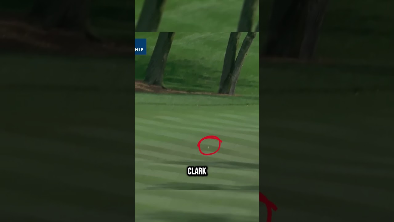 Top 12 Approaches on The PGA Tour | Pro Golf