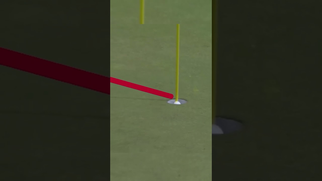 Top 12 CLUTCH Putt’s on The PGA Tour 2024 | Part 2