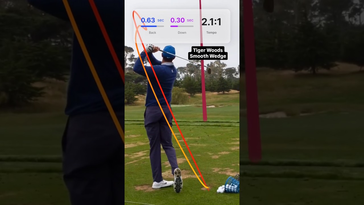 Tiger woods shows smooth wedge shot & TempoTraced by shashot #golfswing #골프 #골프스윙 #ゴルフ #ゴルフスイング