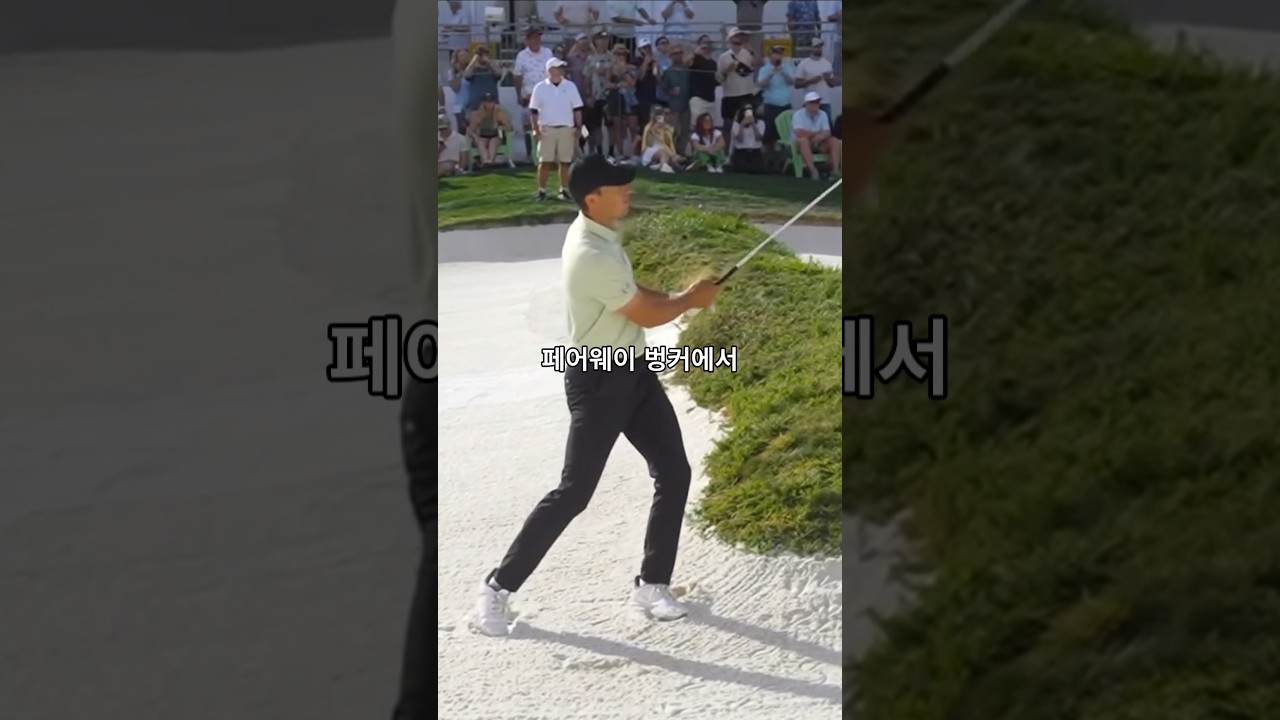 벙커 투 벙커의 결과 #shorts #golf #골프