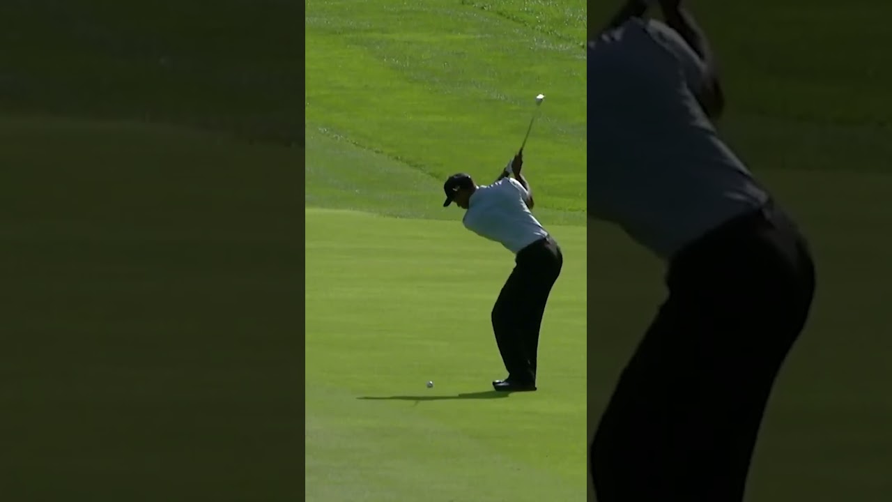 Tiger Woods at his BEST! 🙌