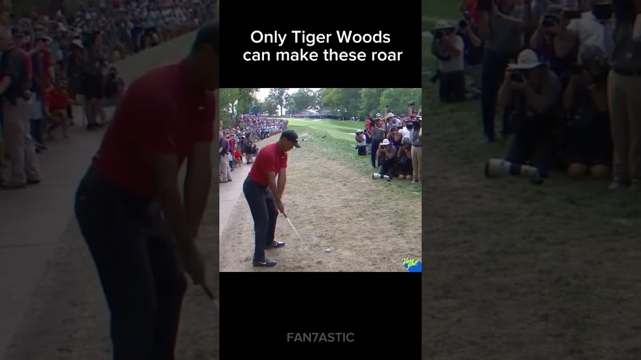 Only Tiger Woods Can Make these Roar in Golf