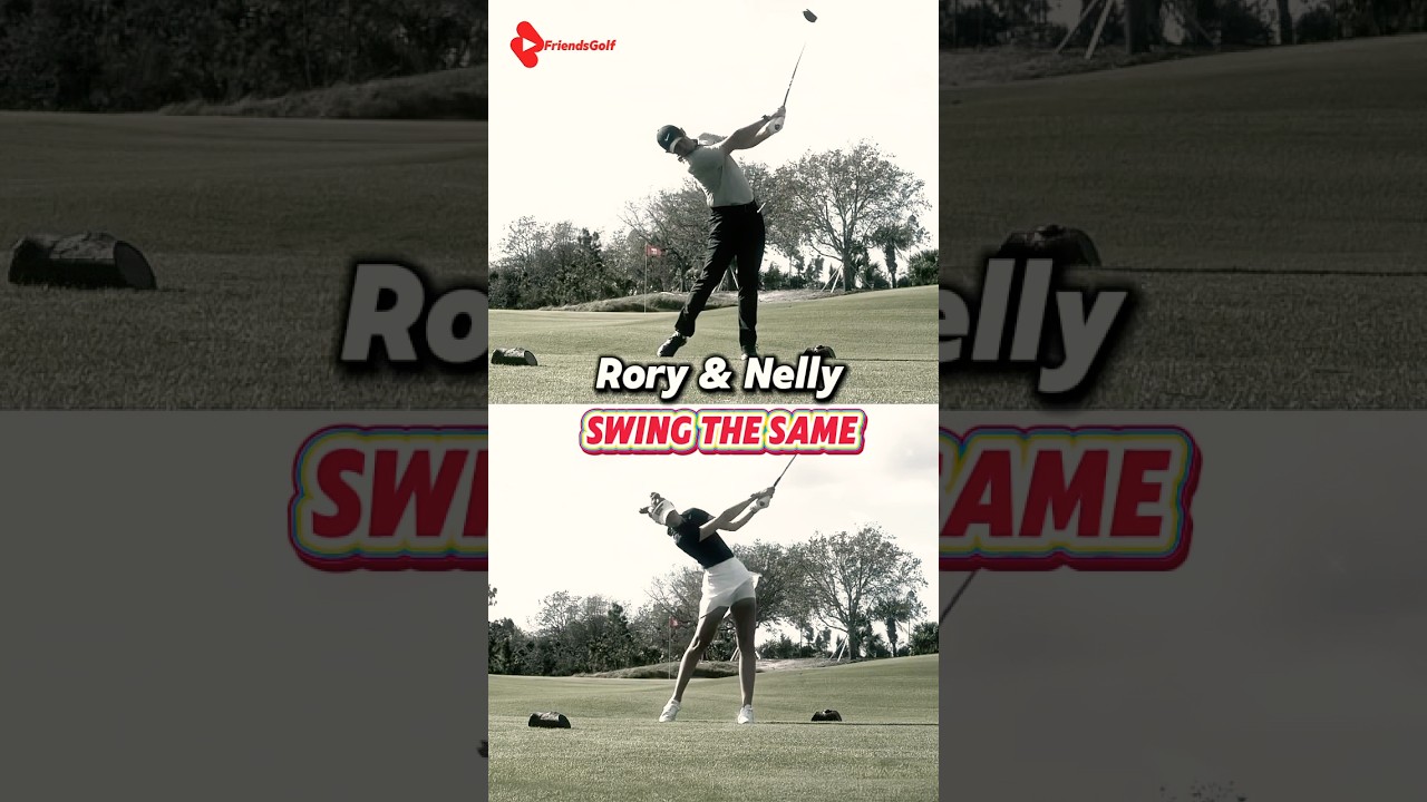 넘사벽 스윙장인 로리를 쏙~빼닮은 넬리 스윙모션!