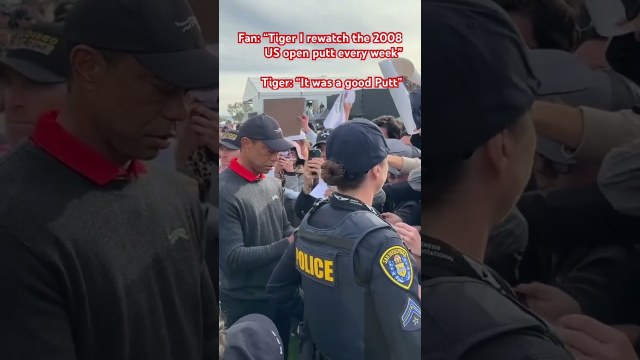 Tiger. doesn’t miss a beat