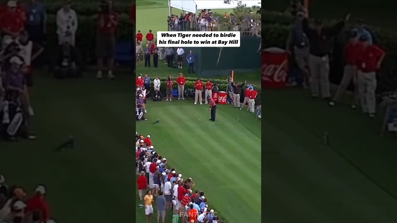 PGA Golf Goat Tiger Woods on Arnold Palmer