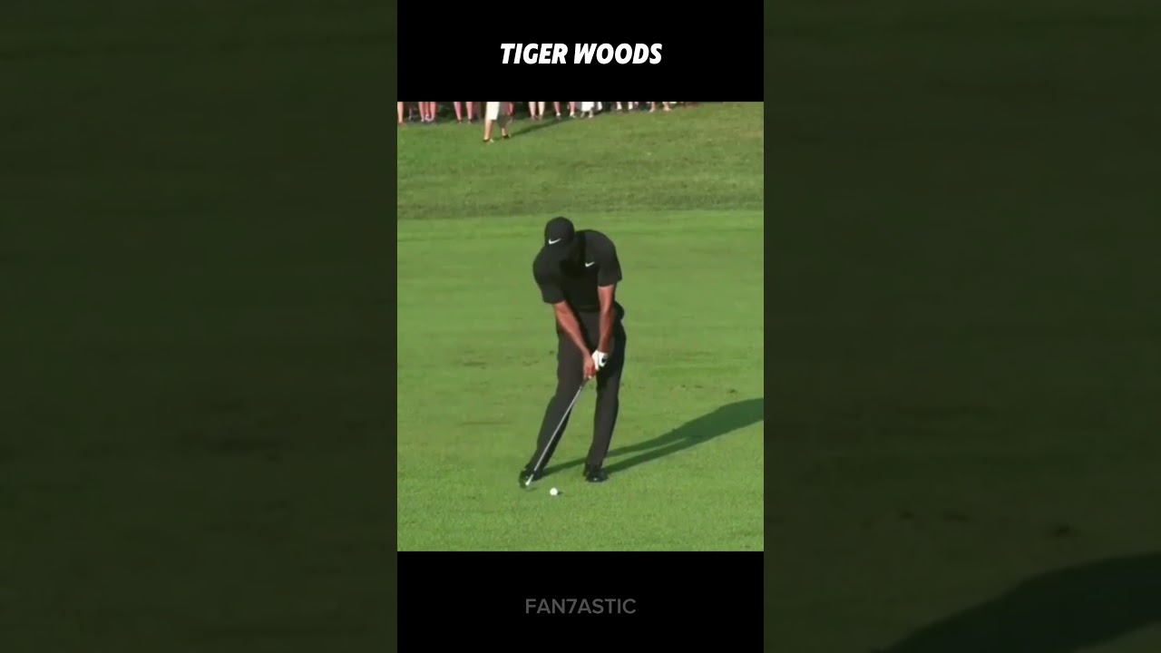 PGA Classic Tiger Woods Golf Iron Swing
