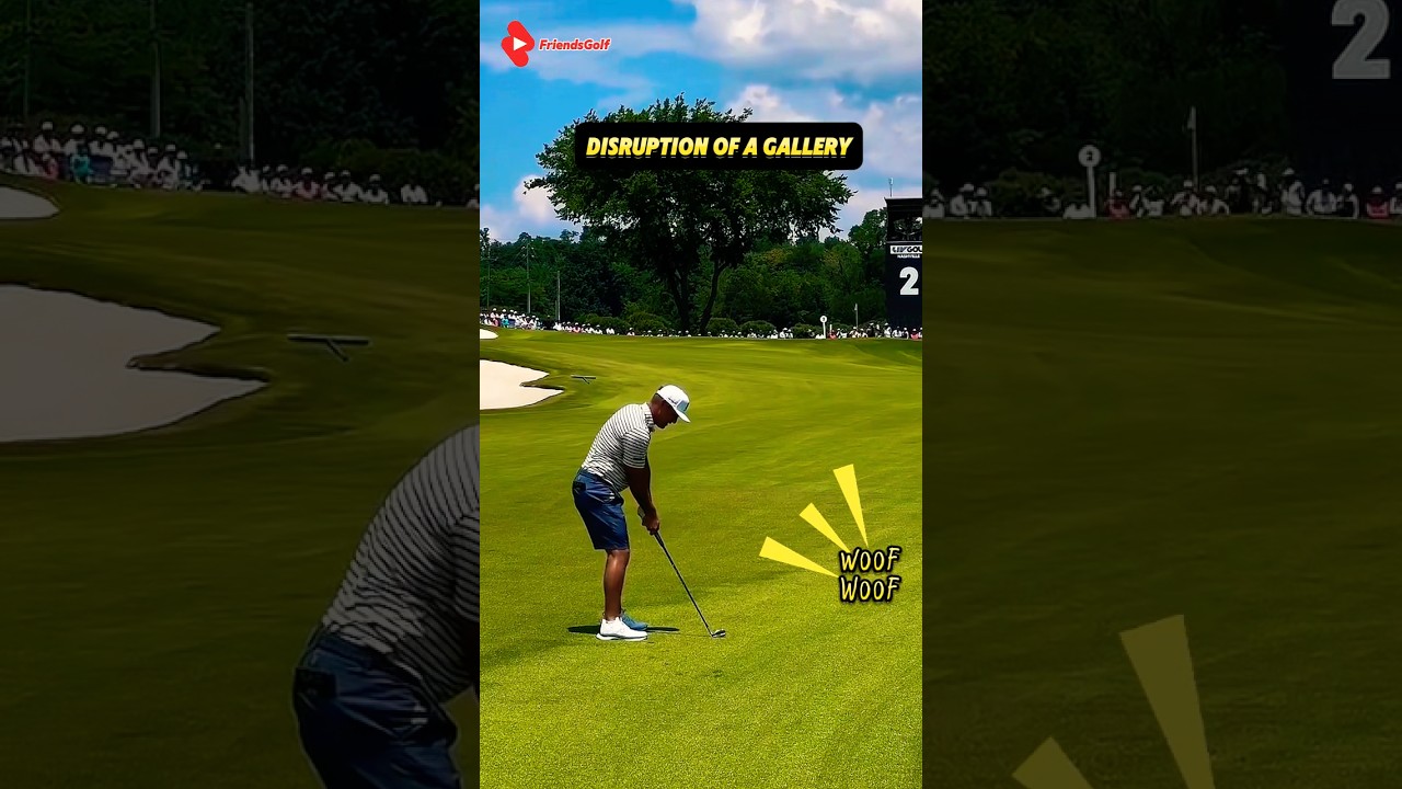 절묘한 타이밍에 부르짖는 개