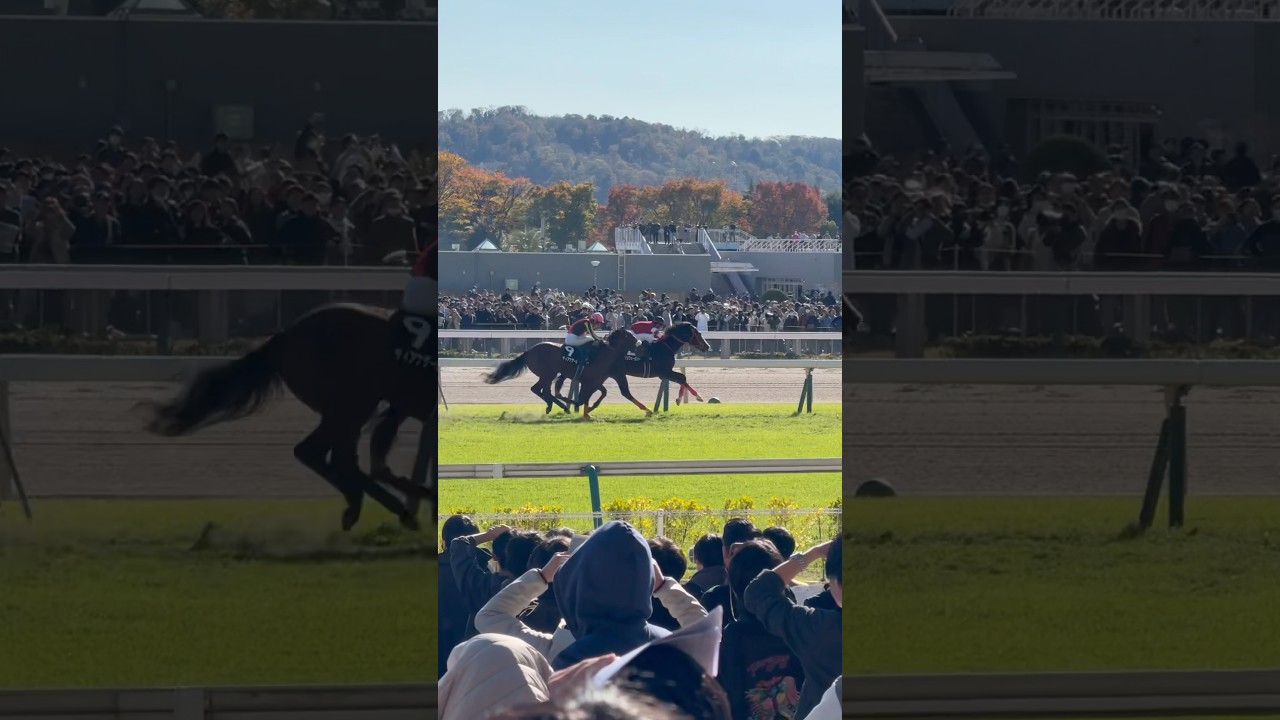 ミカエル・ミシェル騎手参戦 ベゴニア賞 東京8R