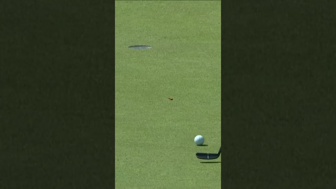 발생 확률은 얼마나 될까? I 필 미켈슨 (Phil Mickelson)