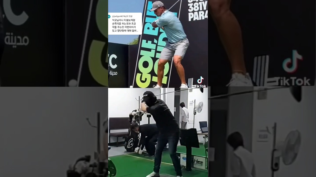 드라이버 스윙비교 디섐보