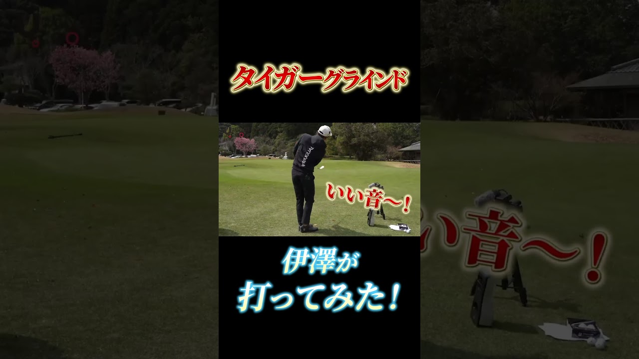 タイガーグラインド 伊澤が打ってみた！#shots#プロコーチ伊澤秀憲 #テーラーメイド#タイガーウッズ