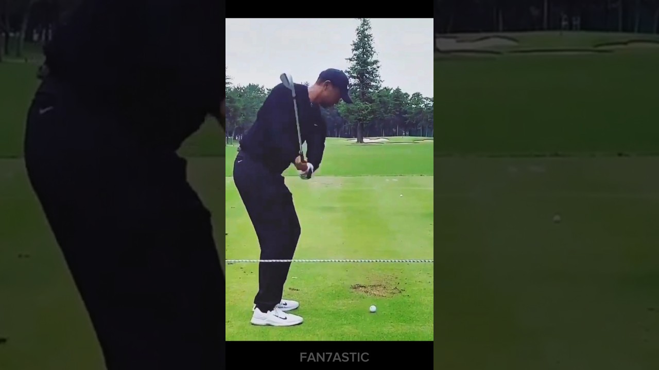 Golf is easy only for Tiger Woods