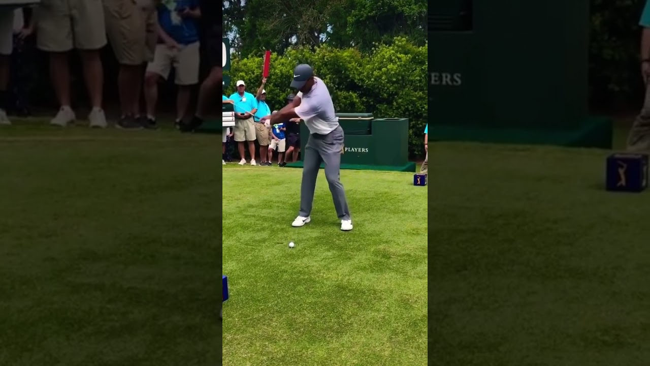 Tiger Woods Iron Tee Shot Swing #golfswing #tigerwoods #golf