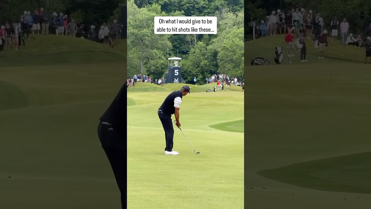 Golf Pros Are Really This Good