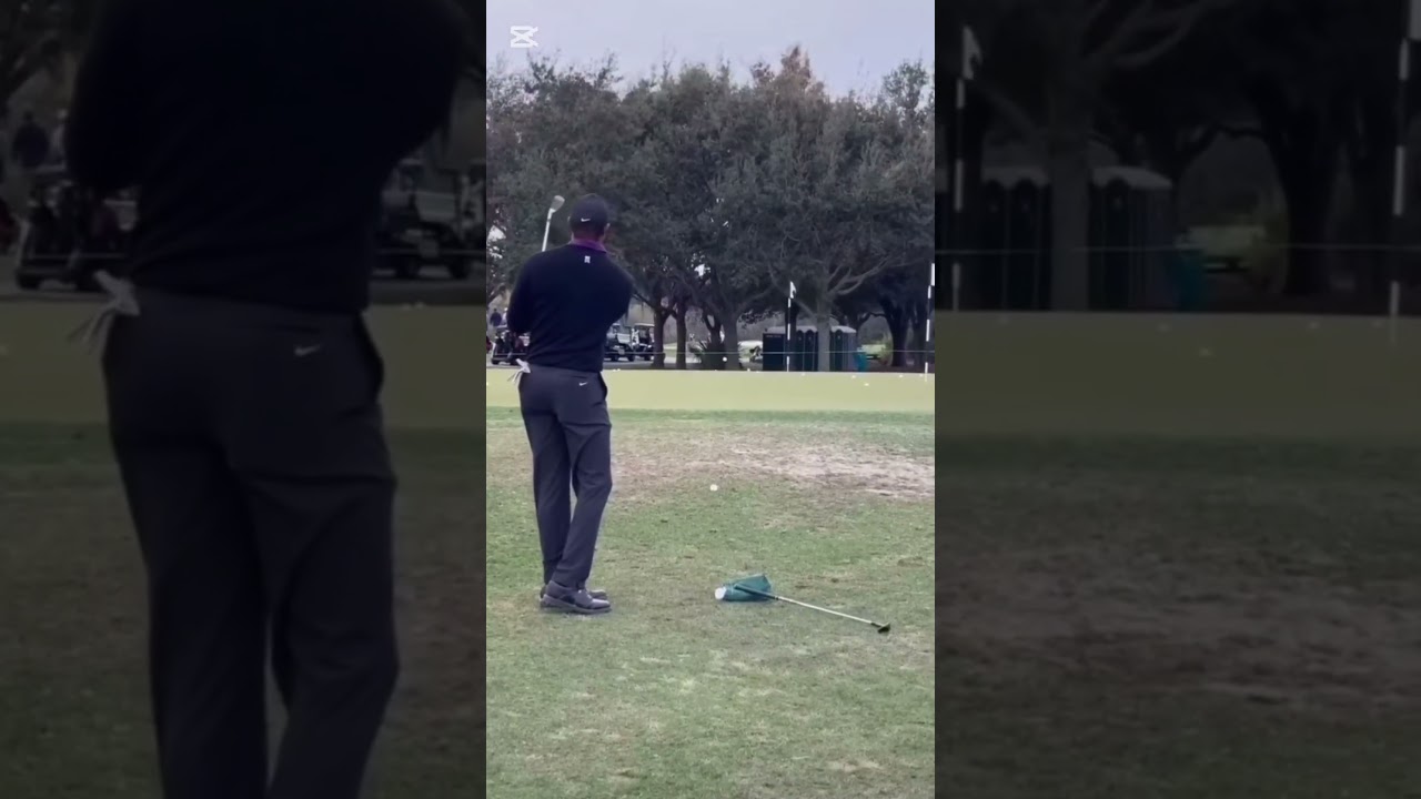 タイガーアプローチ練習（最後が圧巻）#golfshorts #golfswing #golf #ゴルフ #ゴルフスイング