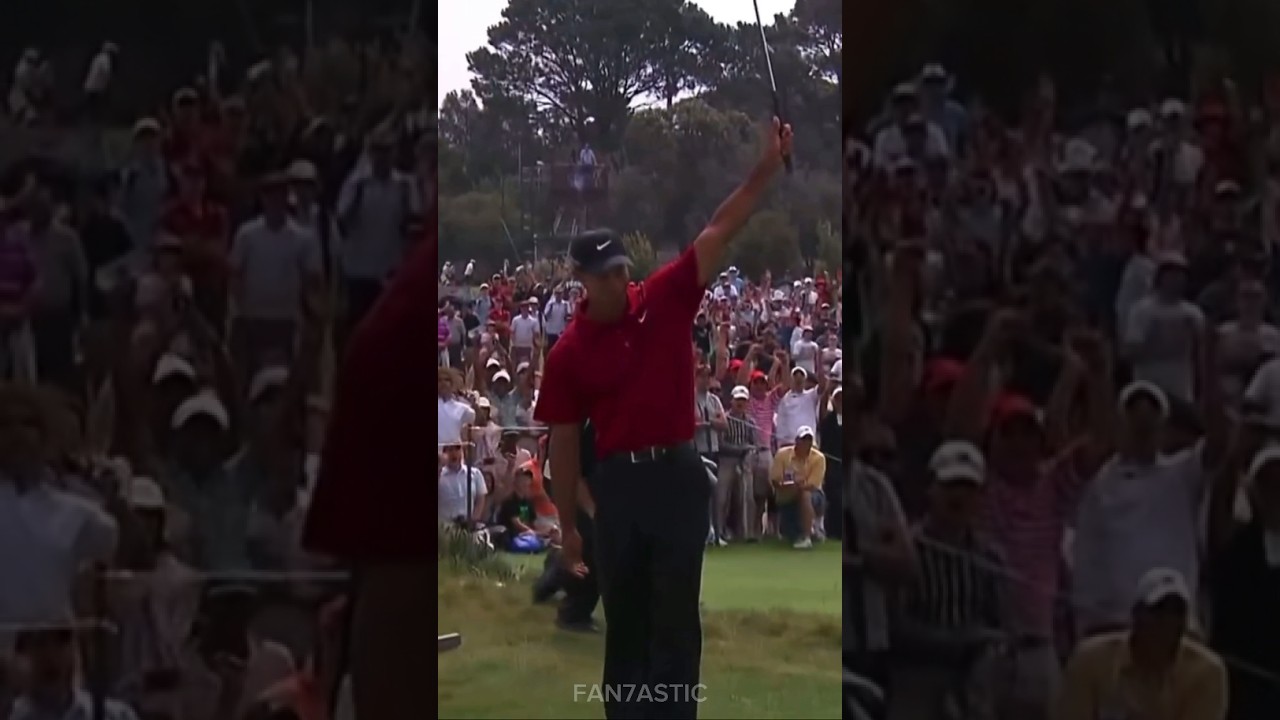 Tiger Woods Chip in Birdie on Aus Open Golf Tour