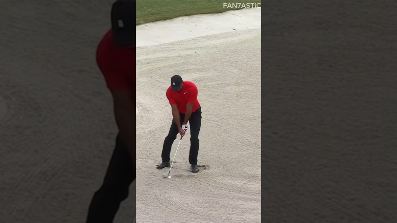 Charlie VS Tiger Woods (Golf Bunker Shot Competition)