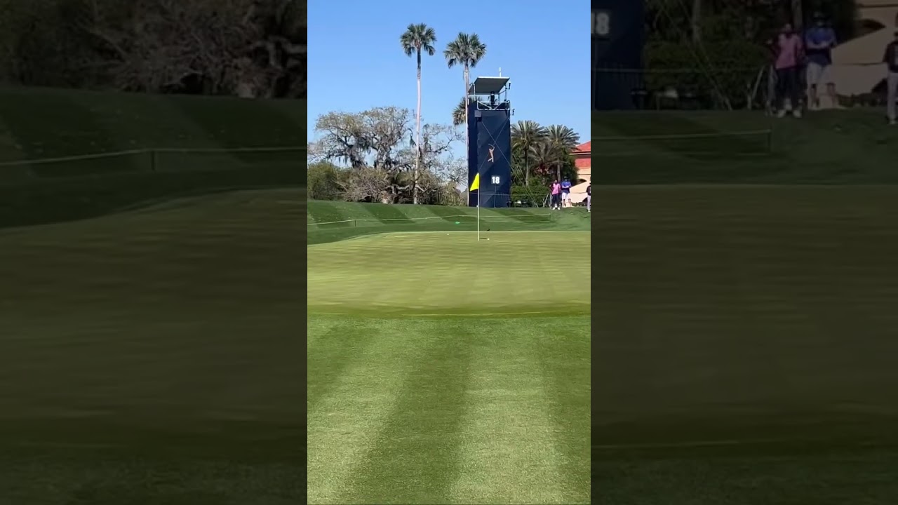 Adam Scott tries to recreate his famous pitch shot that helped him win the 2004 Players Championship
