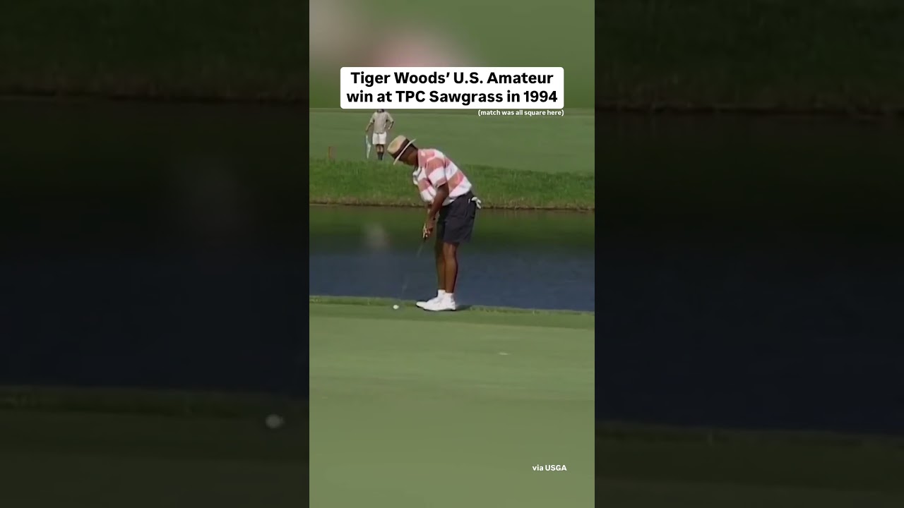 Just Tiger things 🐅