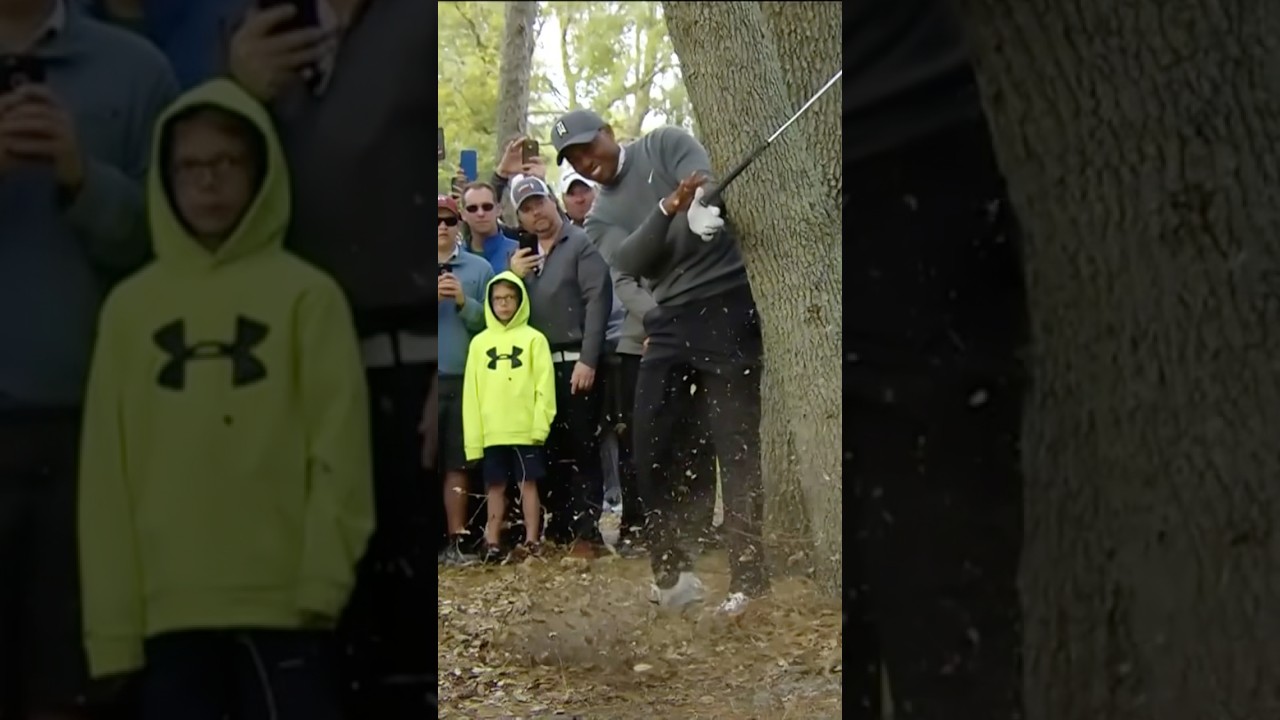 Par save for the ages from Tiger Woods 🐅