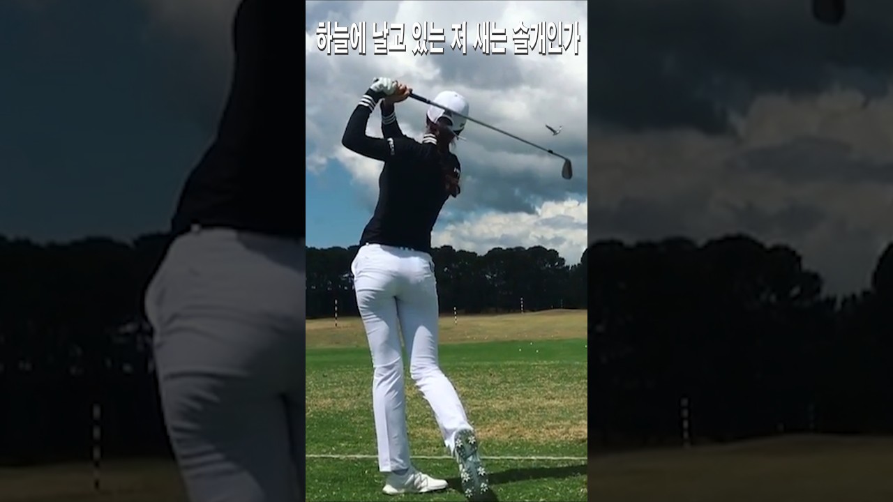 그림이 너무 예쁘다.안신애프로