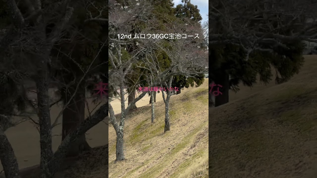 12nd ムロウ36GC宝池コース #ゴルフ #松山英樹 #パッティング #上田桃子 #ドローボール #SRIXON #ゴルフ練習 #ゴルフ女子