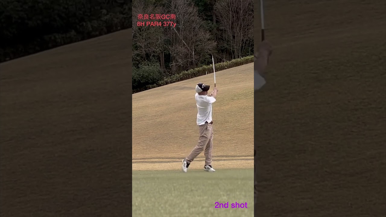 #ゴルフ #松山英樹 #パッティング #上田桃子 #ドローボール #SRIXON #ゴルフ練習 #ゴルフ女子 #golf  #ドライバー #callaway  #練習 #打ちっ放し