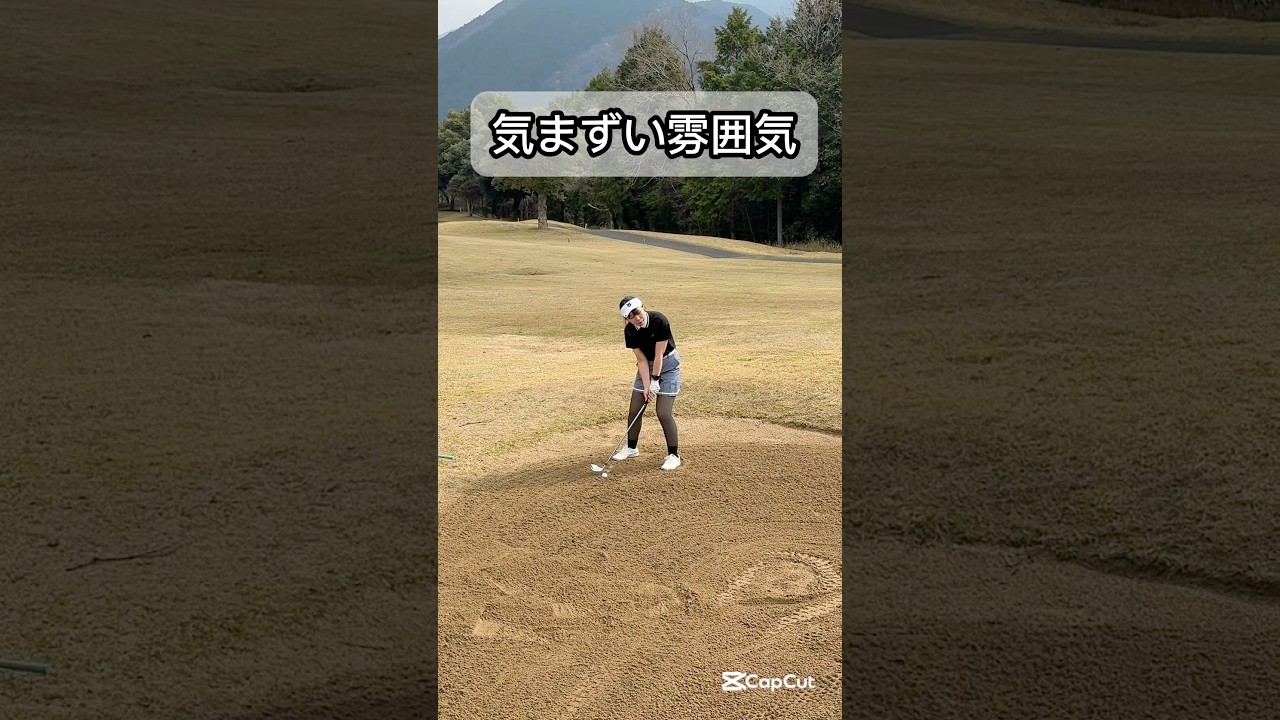 そんな目で見られても…困ります #ゴルフ #ゴルフスイング #ゴルフレッスン #golf #shorts