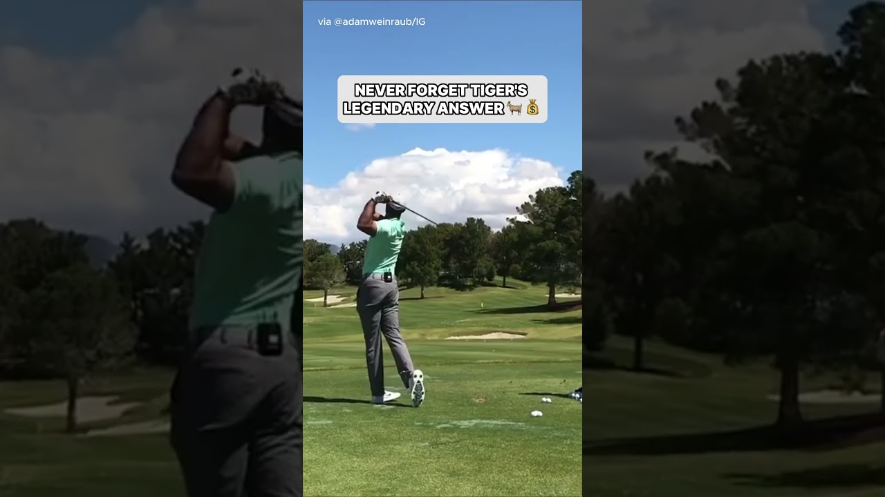 Tiger Woods is a legend 😭 #tigerwoods #golf #golfing #sports #pgatour
