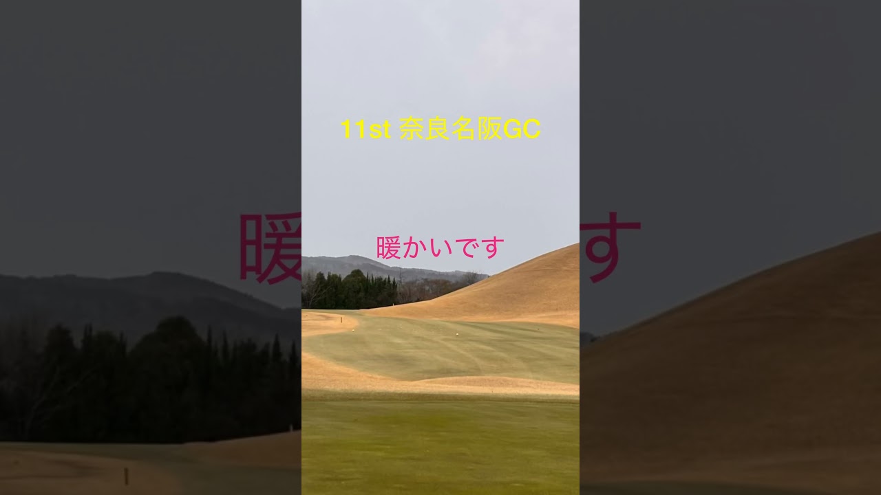 11st 奈良名阪GC #ゴルフ #松山英樹 #パッティング #上田桃子 #ドローボール #SRIXON #ゴルフ練習 #ゴルフ女子