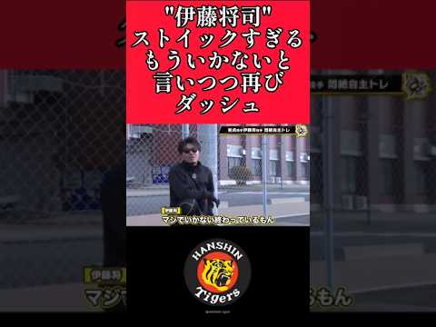 【阪神】"伊藤将司"自主トレで自分を追い込む！ #阪神 #阪神タイガース #伊藤将司  #shorts