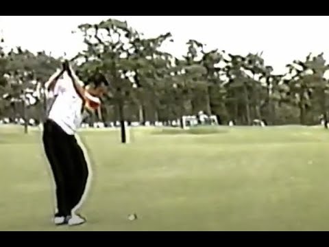 '95第22回ダンロップオープン　アジアンツアー第11戦8-10